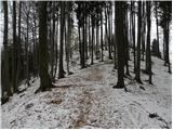 Čepulje - Archangel Gabriel (Planica)